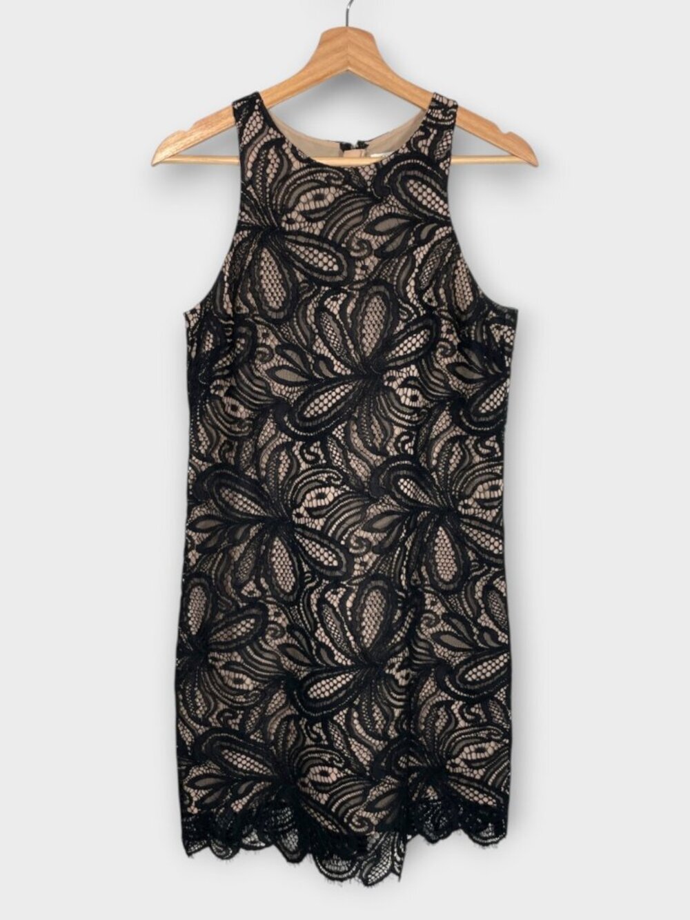 Babaton Aritzia Henry Dress 6 Black Lace Cocktail Whimsigoth Dark Romantic - Picture 2 of 10